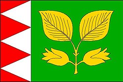 Bukovany OL flag